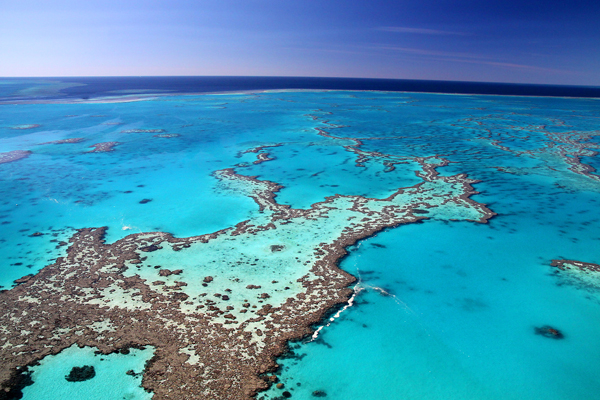 Der Great Barrier Reef in Australien mit wunderschönem Meer. 