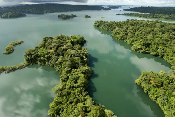 Der Panamakanal ist ein Paradies, das aus vielen Wäldern und Flüssen besteht. Der Blick geht in die schöne Weite.