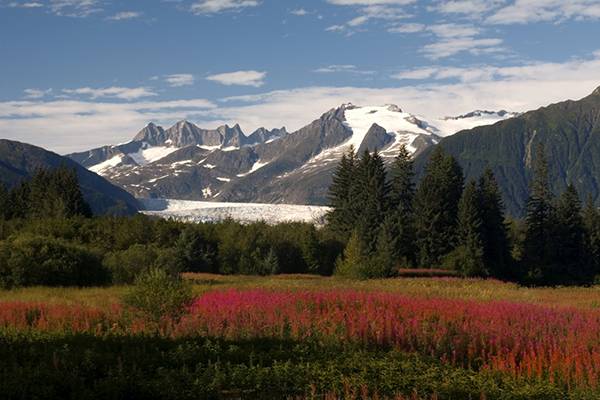 Der Mendenhall Glacier Gletscher ist mit Schnee bedeckt. Jetzt entdecken auf ihrer Alaska Kreuzfahrt. 